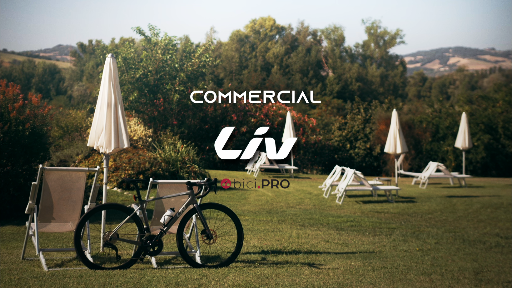 Liv Langma – Giant